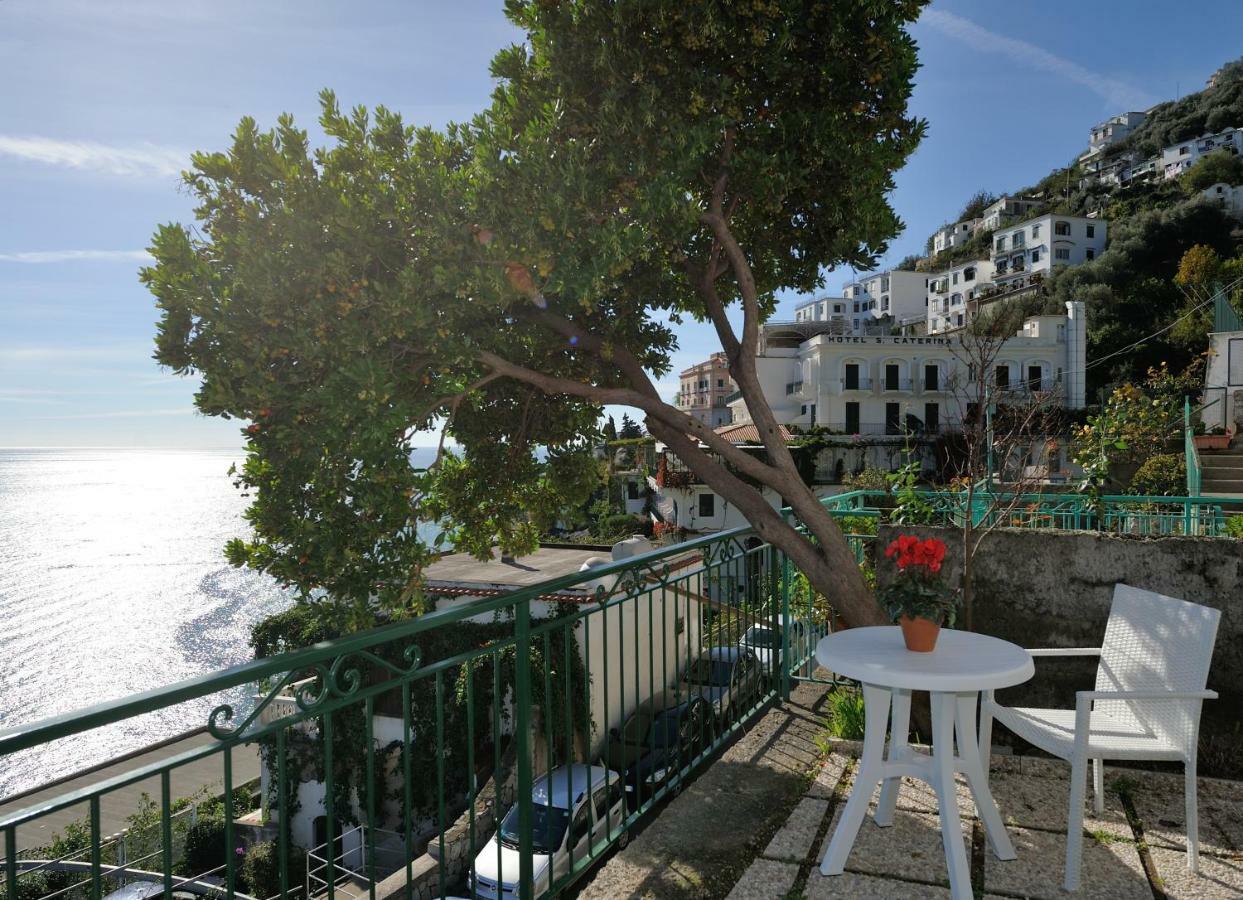 Amalfi Blue Flowers A Kültér fotó